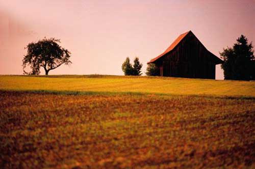 Images from 
Michigan's Farmland Preservation Program: An Assessment