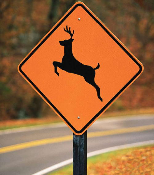 deer crossing sign countenance