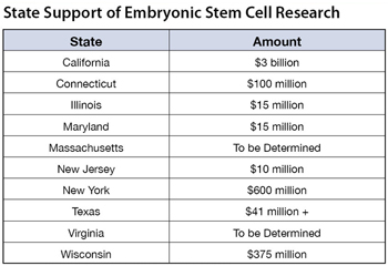 Table 2 - click to enlarge Table 2 - click to enlarge