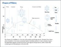 snow flake diagram