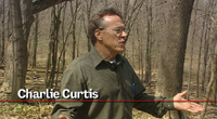 Click to enlarge: Charlie Curtis