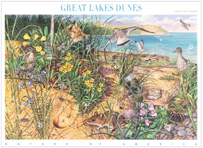 Great Lakes Dunes - click to enlarge Great Lakes Dunes - click to enlarge