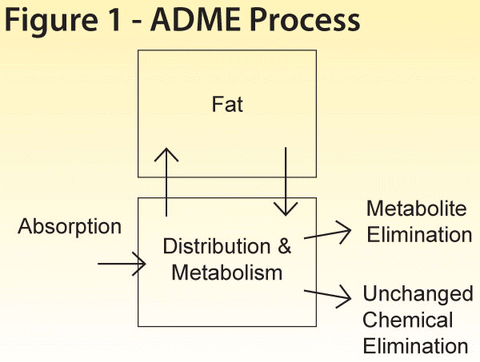Figure 1 - ADME Process - click to enlarge