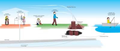 Dose Response and Risk Assessment - click to enlarge Dose Response and Risk Assessment - click to enlarge