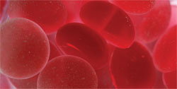 Blood cells