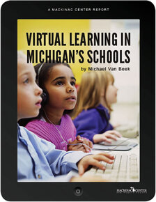 Virtual Learning in Michigan's Schools