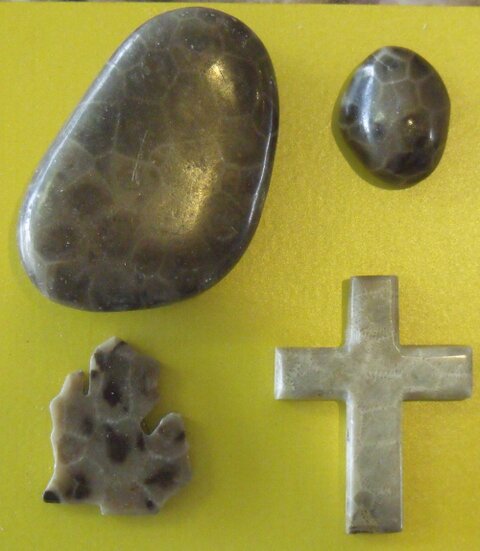 Various polished Petoskey Stones