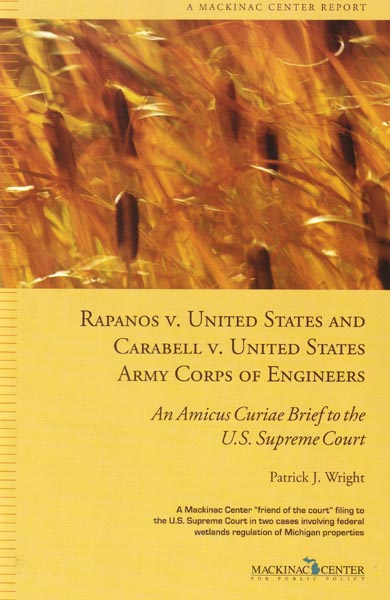Images from 
Mackinac Center Amicus Curiae Brief in Rapanos v. United States and Carabell v. United States Army Corps of Engineers