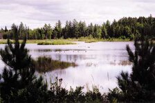Delene pond