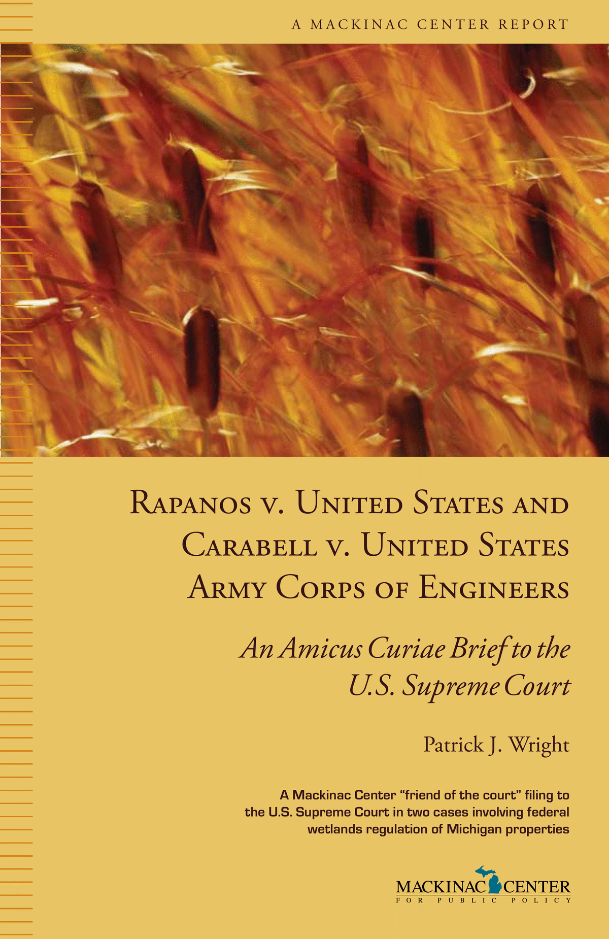 Mackinac Center Amicus Curiae Brief in Rapanos v. United States