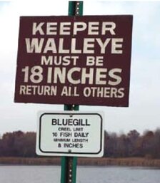 fishing sign