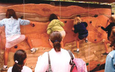 Cranbrook Institute of Science