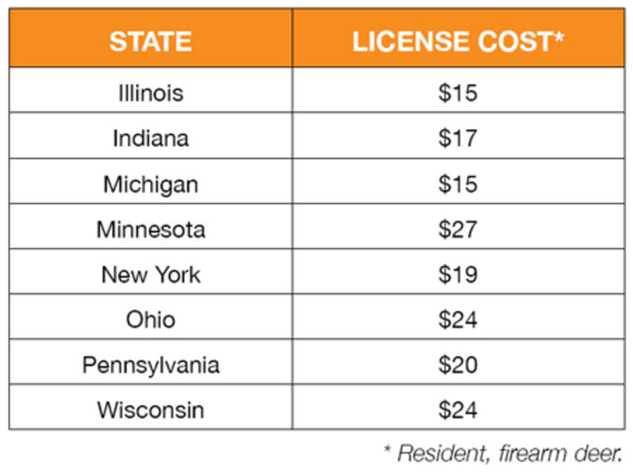 Michigan’s Deer Herd Flourishes While Hunters’ Numbers Decline