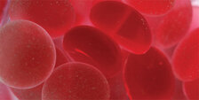 Blood cells