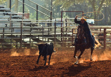 Rodeo