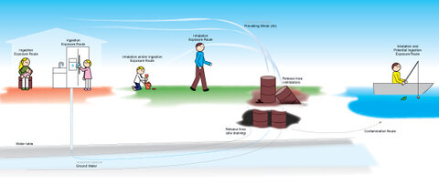 Dose Response and Risk Assessment - click to enlarge