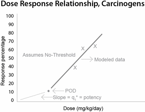 Dose Response Relationship, Carcinogens - click to enlarge