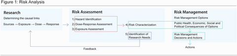 Figure 1: Risk Analysis - click to enlarge
