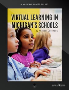 Virtual Learning cover
