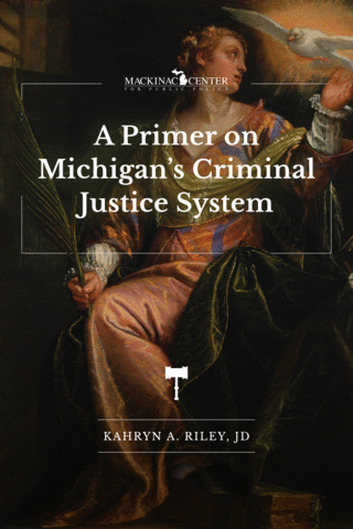 Michigan Sentencing Guidelines Chart