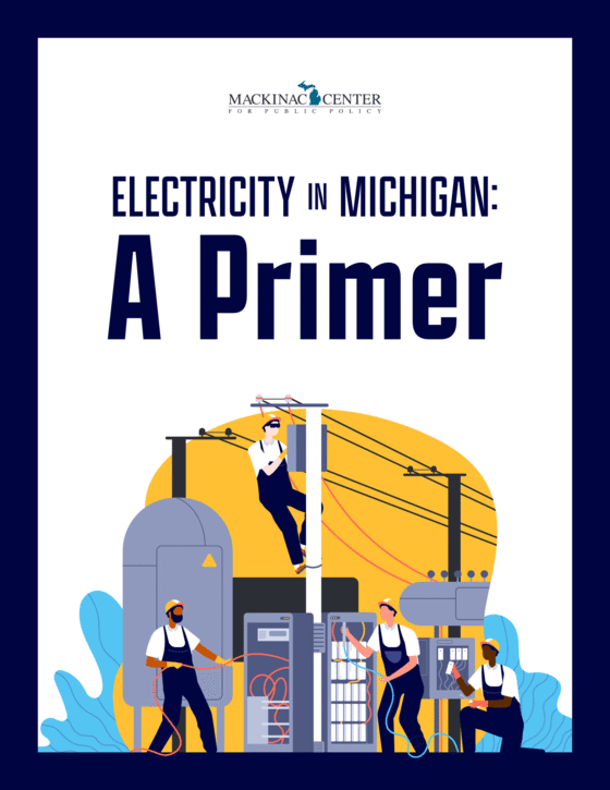 Municipal Electricity Utilities Electricity in Michigan A Primer Mackinac Center