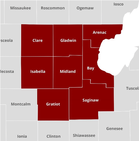 Graphic 4: Select Michigan Counties - click to enlarge