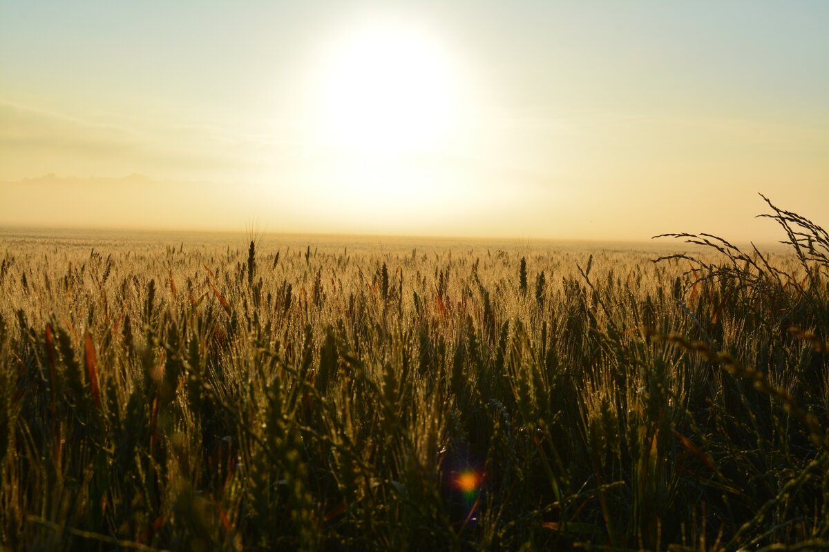 Michigan taxpayers build it, but nobody comes