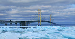 mackinac island carriage tours tours reviews